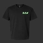 BAW 0100